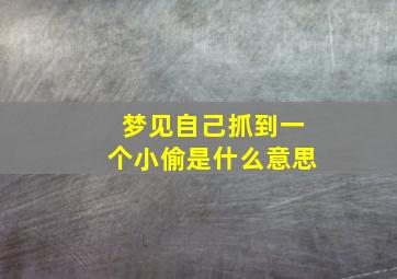 梦见自己抓到一个小偷是什么意思