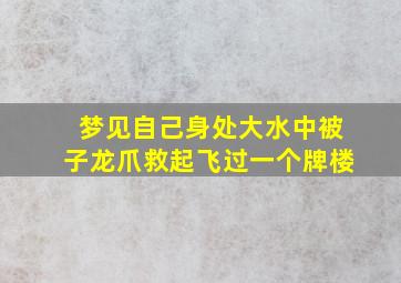 梦见自己身处大水中被子龙爪救起飞过一个牌楼