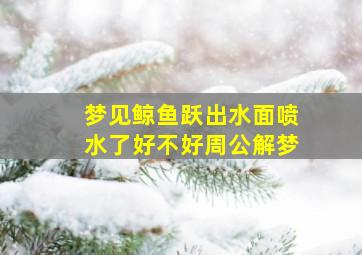 梦见鲸鱼跃出水面喷水了好不好周公解梦