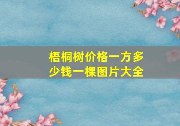 梧桐树价格一方多少钱一棵图片大全