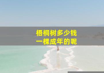 梧桐树多少钱一棵成年的呢