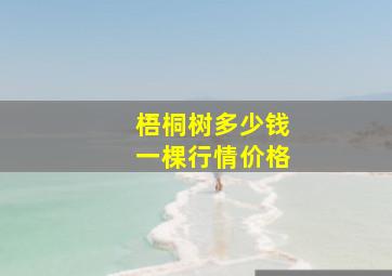 梧桐树多少钱一棵行情价格