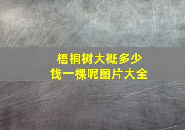 梧桐树大概多少钱一棵呢图片大全