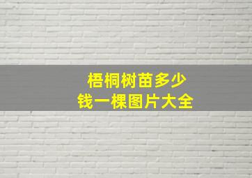 梧桐树苗多少钱一棵图片大全