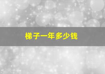 梯子一年多少钱