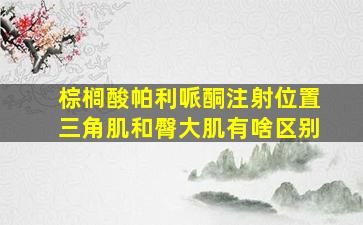 棕榈酸帕利哌酮注射位置三角肌和臀大肌有啥区别