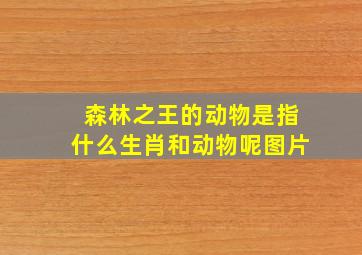 森林之王的动物是指什么生肖和动物呢图片