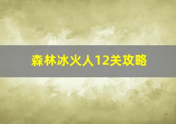 森林冰火人12关攻略