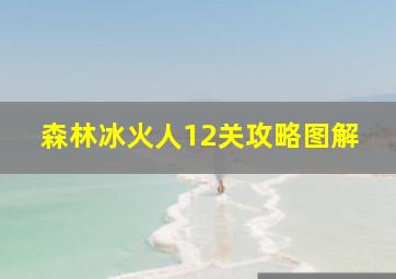 森林冰火人12关攻略图解