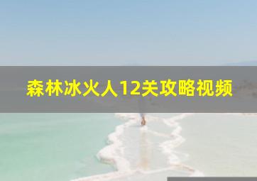 森林冰火人12关攻略视频