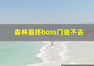 森林最终boss门进不去