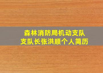 森林消防局机动支队支队长张洪顺个人简历