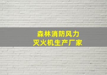 森林消防风力灭火机生产厂家