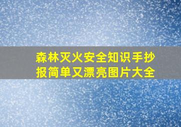 森林灭火安全知识手抄报简单又漂亮图片大全