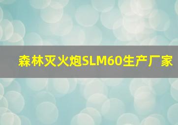 森林灭火炮SLM60生产厂家