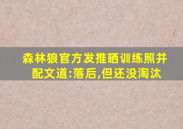 森林狼官方发推晒训练照并配文道:落后,但还没淘汰