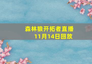 森林狼开拓者直播11月14日回放