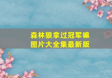 森林狼拿过冠军嘛图片大全集最新版