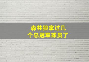 森林狼拿过几个总冠军球员了