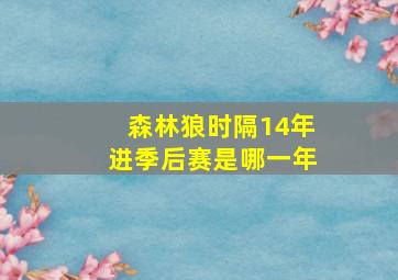 森林狼时隔14年进季后赛是哪一年