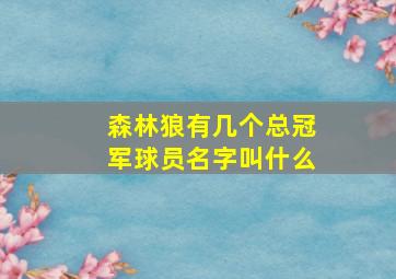 森林狼有几个总冠军球员名字叫什么