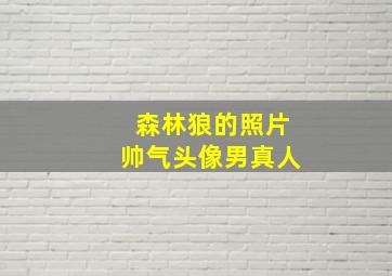 森林狼的照片帅气头像男真人