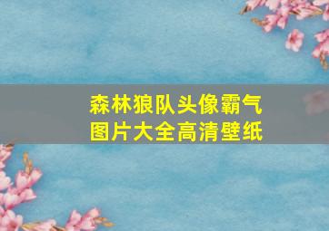 森林狼队头像霸气图片大全高清壁纸