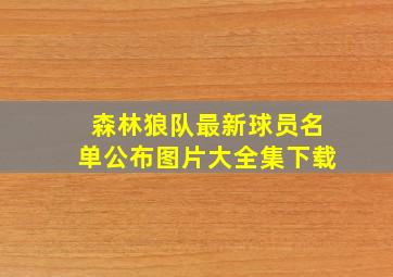 森林狼队最新球员名单公布图片大全集下载