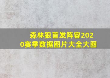 森林狼首发阵容2020赛季数据图片大全大图