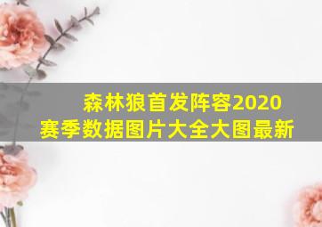 森林狼首发阵容2020赛季数据图片大全大图最新