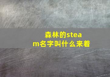 森林的steam名字叫什么来着