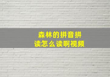 森林的拼音拼读怎么读啊视频