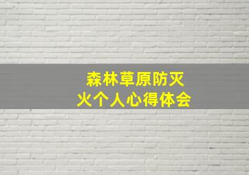 森林草原防灭火个人心得体会