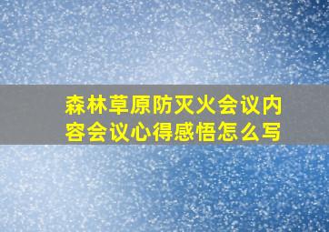 森林草原防灭火会议内容会议心得感悟怎么写