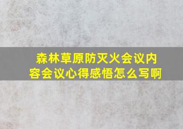 森林草原防灭火会议内容会议心得感悟怎么写啊