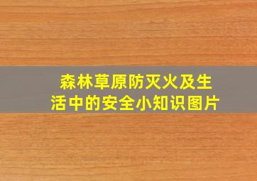 森林草原防灭火及生活中的安全小知识图片