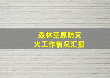 森林草原防灭火工作情况汇报