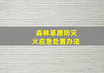 森林草原防灭火应急处置办法