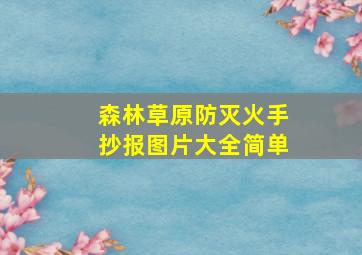 森林草原防灭火手抄报图片大全简单