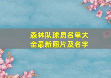 森林队球员名单大全最新图片及名字