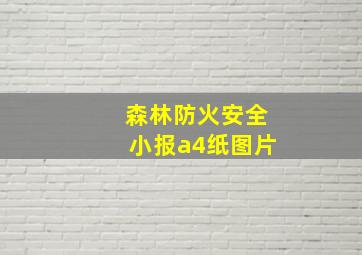 森林防火安全小报a4纸图片