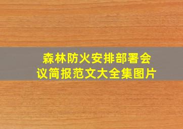 森林防火安排部署会议简报范文大全集图片