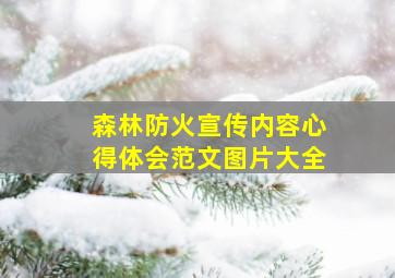 森林防火宣传内容心得体会范文图片大全