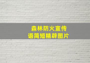 森林防火宣传语简短精辟图片