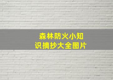 森林防火小知识摘抄大全图片