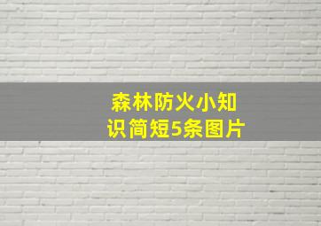 森林防火小知识简短5条图片