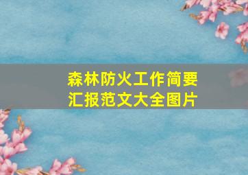 森林防火工作简要汇报范文大全图片