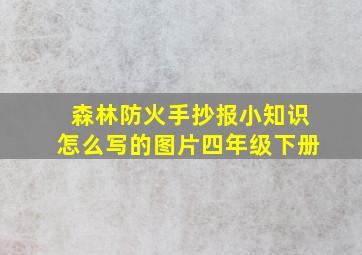 森林防火手抄报小知识怎么写的图片四年级下册