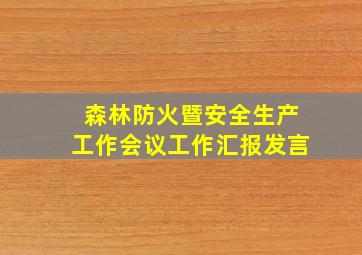 森林防火暨安全生产工作会议工作汇报发言