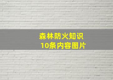 森林防火知识10条内容图片